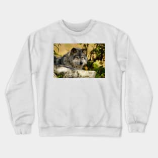 Gray Wolf Crewneck Sweatshirt